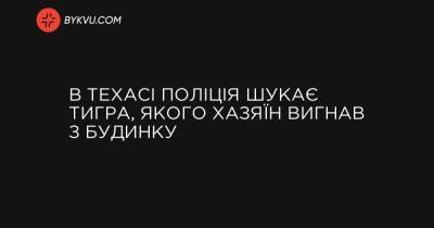 В Техасі поліція шукає тигра, якого хазяїн вигнав з будинку - bykvu.com - Украина