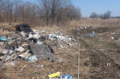 Недалеко от Хабаровска была найдена свалка, загрязняющая почву - hab.aif.ru - Хабаровск - район Хабаровский