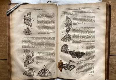 Между страницами книги обнаружили удивительную находку, которой 400 лет (фото) - facenews.ua