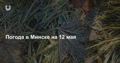 Погода в Минске на 12 мая - news.tut.by - Минск - Минская обл.