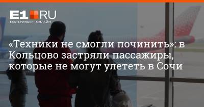 Артем Устюжанин - «Техники не смогли починить»: в Кольцово застряли пассажиры, которые не могут улететь в Сочи - e1.ru - Москва - Сочи - Екатеринбург