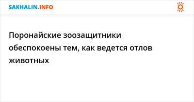 Поронайские зоозащитники обеспокоены тем, как ведется отлов животных - sakhalin.info - Поронайск