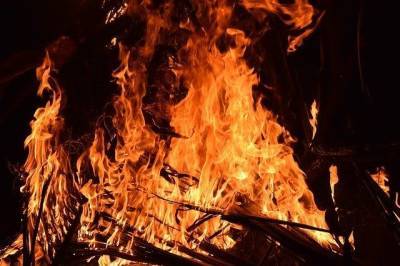 За майские праздники в Хабаровском крае погибли в пожарах 3 человека - hab.aif.ru - Хабаровский край