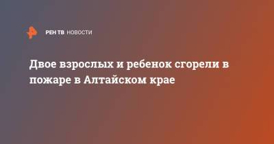 Двое взрослых и ребенок сгорели в пожаре в Алтайском крае - ren.tv - Алтайский край - респ. Алтай