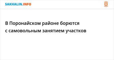 В Поронайском районе борются с самовольным занятием участков - sakhalin.info - Поронайск