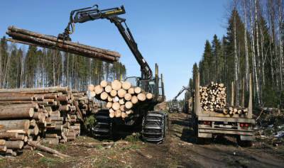 Как латвийский экспорт переносит коронный удар - lv.baltnews.com - Латвия