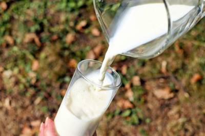Медики объяснили, какие болезни вызывает употребление молока - lenta.ua