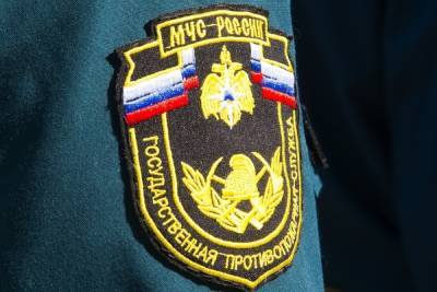 В Тульской области за сутки спасатели ликвидировали 5 техногенных пожаров - tula.mk.ru - Тула - Новомосковск - Тульская обл.