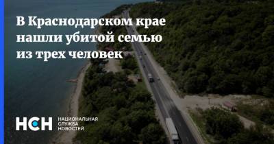 В Краснодарском крае нашли убитой семью из трех человек - nsn.fm - Краснодарский край - Кубань - Кореновск
