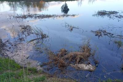 В Твери ввели режим повышенной готовности из-за масляных пятен на реке - tver.mk.ru - Тверь