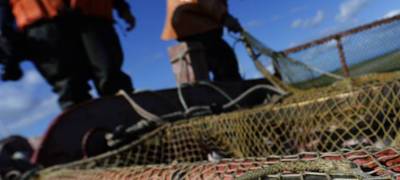 В Карелии у рыбака конфисковали сети без опознавательных знаков - stolicaonego.ru - район Беломорский - республика Карелия