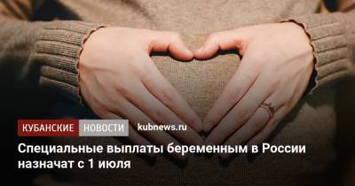 Михаил Мишустин - Специальные выплаты беременным в России назначат с 1 июля - kubnews.ru - Россия