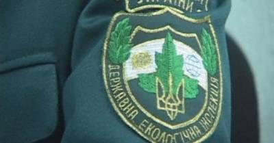 Реформа екоконтролю на сьогодні нагадує боротьбу з вітряками - delo.ua