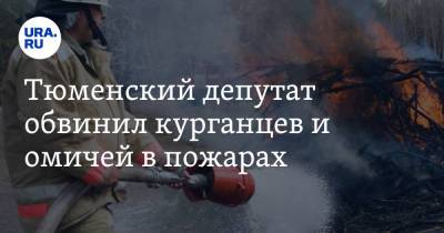 Владимир Ульянов - Тюменский депутат обвинил курганцев и омичей в пожарах - ura.news - Тюмень - Тюменская обл. - Курганская обл. - Омск - Омская обл.