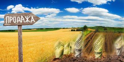 Рынок земли в Украине - Сколько людей поддерживают открытие продажи земли и референдум, опрос и инфографика - ТЕЛЕГРАФ - telegraf.com.ua