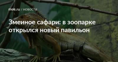 Змеиное сафари: в зоопарке открылся новый павильон - mos.ru - Москва