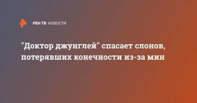 “Доктор джунглей” спасает слонов, потерявших конечности из-за мин - skuke.net - Австралия - Бирма - Таиланд