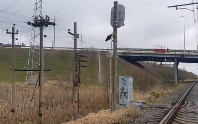 В Тосненском районе был пойман «трансформаторный расхититель» - ivbg.ru - Ленинградская обл.