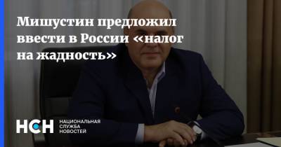 Михаил Мишустин - Мишустин предложил ввести в России «налог на жадность» - nsn.fm - Россия