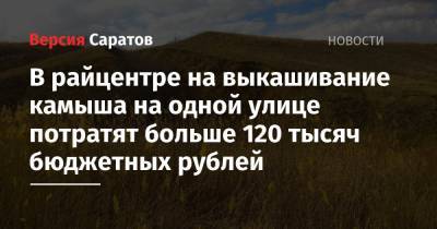 В райцентре на выкашивание камыша на одной улице потратят больше 120 тысяч бюджетных рублей - nversia.ru - район Пугачевский