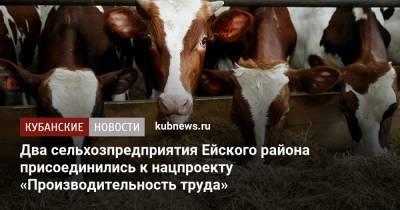 Два сельхозпредприятия Ейского района присоединились к нацпроекту «Производительность труда» - kubnews.ru - Краснодарский край - Ейск