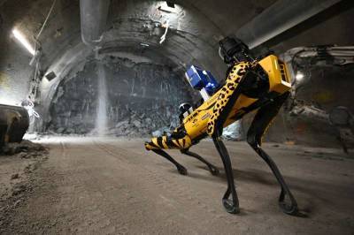Робопса Boston Dynamics отправили в подземное ядерное хранилище - techno.bigmir.net - Франция - Boston