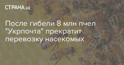 После гибели 8 млн пчел "Укрпочта" прекратит перевозку насекомых - strana.ua