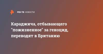 Доминик Рааб - Караджича, отбывающего "пожизненное" за геноцид, переводят в Британию - ren.tv - Англия