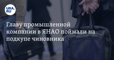 Главу промышленной компании в ЯНАО поймали на подкупе чиновника - ura.news - Ноябрьск - окр. Янао - окр. Уральский