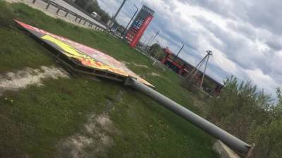 Под Воронежем упавший в оживлённом месте билборд убил собаку - vestivrn.ru - Воронеж