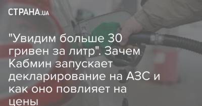 Геннадий Рябцев - "Увидим больше 30 гривен за литр". Зачем Кабмин запускает декларирование на АЗС и как оно повлияет на цены - strana.ua
