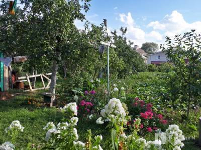 Нижегородцы пожаловались на строительство в садовых товариществах - vgoroden.ru - Нижний Новгород - Строительство