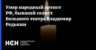 Умер народный артист РФ, бывший солист Большого театра Владимир Редькин - nsn.fm - Москва - Сан-Франциско - Сантьяго