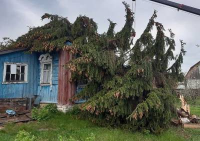 В Полянах из-за урагана на жилой дом рухнула ель - ya62.ru - район Рязанский