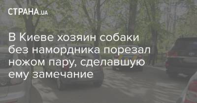 В Киеве хозяин собаки без намордника порезал ножом пару, сделавшую ему замечание - strana.ua - Киев - Нападение