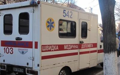 В Ровно собака покусала ребенка - korrespondent.net - Нападение