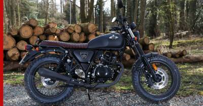 WK Bikes разработала новый ретро-мотоцикл Scrambler 50 для новичков - profile.ru