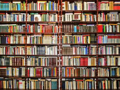 С середины лета не менее 50% названий книг в магазинах должны быть на украинском – Госкомтелерадио - gordonua.com