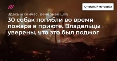 30 собак погибли во время пожара в приюте. Владельцы уверены, что это был поджог - tvrain.ru