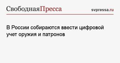 В России собираются ввести цифровой учет оружия и патронов - svpressa.ru - Казань