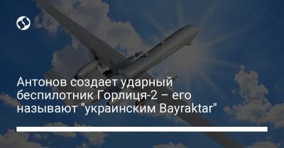 Антонов создает ударный беспилотник Горлиця-2 – его называют "украинским Bayraktar" - liga.net