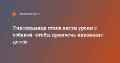 Учительница стала вести уроки с собакой, чтобы привлечь внимание детей - ren.tv - США