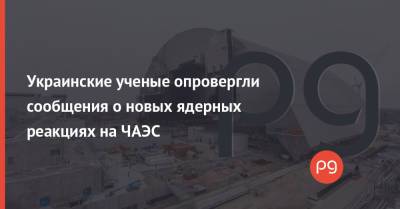 Украинские ученые опровергли сообщения о новых ядерных реакциях на ЧАЭС - thepage.ua