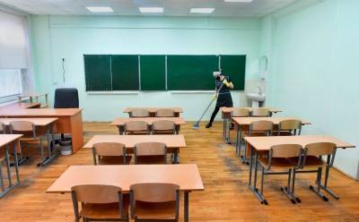 Юргита Шюгждинене - К осени в школах Литвы оборудуют классы для обучения удаленно и в присутствии - obzor.lt - Литва