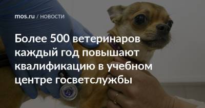 Более 500 ветеринаров каждый год повышают квалификацию в учебном центре госветслужбы - mos.ru - Москва
