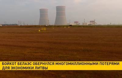Бойкот БелАЭС обернулся многомиллионными потерями для экономики Литвы - ont.by - Литва - Вильнюс - Латвия