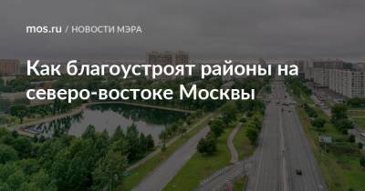 Сергей Собянин - Как благоустроят районы на северо-востоке Москвы - mos.ru - Москва - Благоустройство