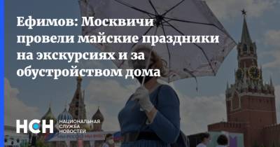 Владимир Ефимов - Ефимов: Москвичи провели майские праздники на экскурсиях и за обустройством дома - nsn.fm - Москва