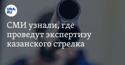СМИ узнали, где проведут экспертизу казанского стрелка - ura.news - Москва - Казань