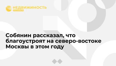 Сергей Собянин - Собянин рассказал, что благоустроят на северо-востоке Москвы в этом году - realty.ria.ru - Москва